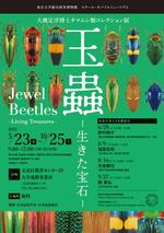 「玉蟲」展チラシ画像