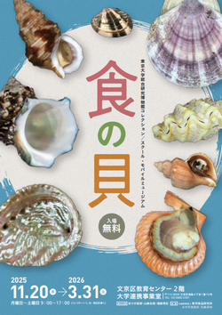 「食の貝」展チラシ