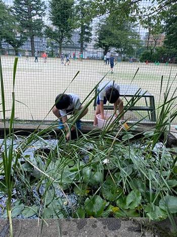 ３年生 理科 文京区立駒本小学校